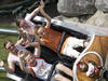 Achterbahn im Wild- und Freizeitpark Klotte &copy; Wild- und Freizeitpark Klotten