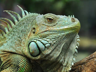 TerraZoo Rheinberg © TerraZoo Rheinberg